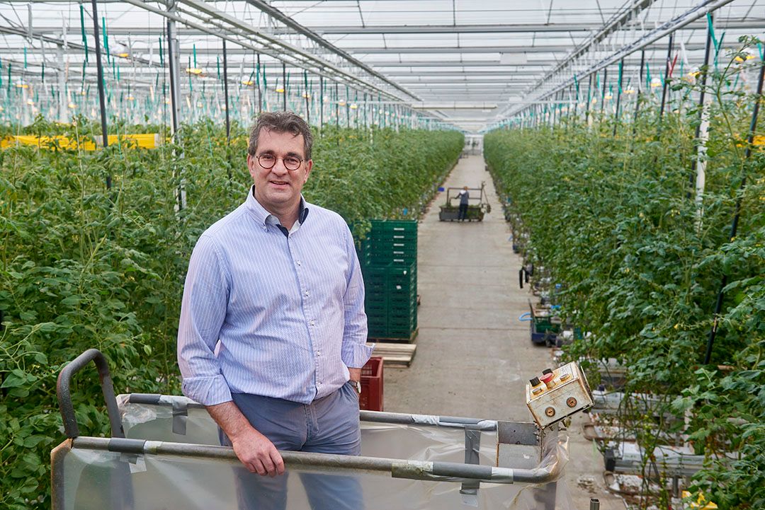 Archieffoto John Willems. De directeur van afzetorganisatie ZON hoopt eind januari van RVO te horen dat de organisatie weer terug in het subsidieprogramma kan. - Foto: Van Assendelft