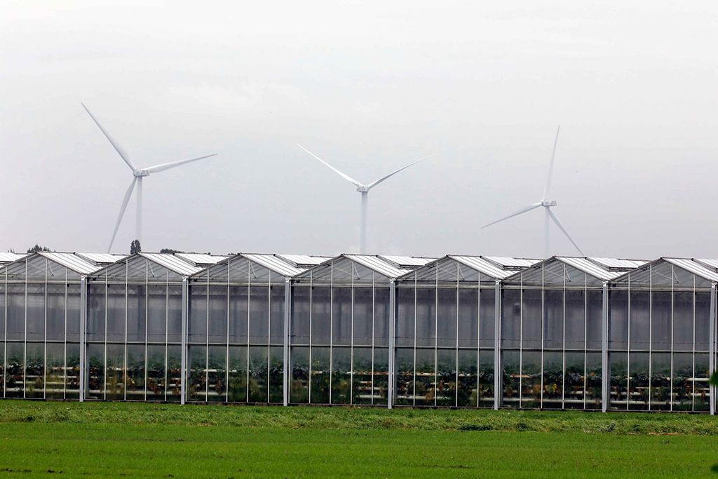 Het is belangrijk dat waterstof van hernieuwbare energie gemaakt wordt, zoals windenergie. - Foto: Roel Dijkstra