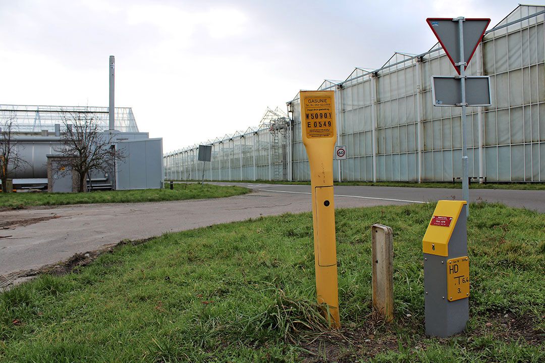 Bloementelers zullen in een noodsituatie veel eerder van het gas af moeten dan groentetelers. - Foto: Ton van der Scheer