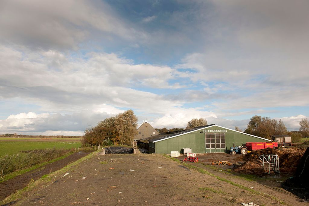 Veehouderijbedrijf op Schiermonnikoog. - Foto: Mark Pasveer