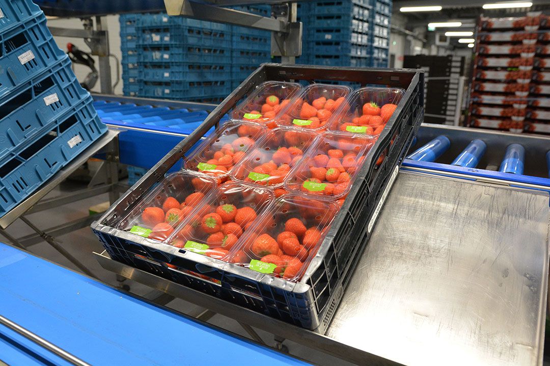 Markt: Euro erbij voor aardbeien na hitte