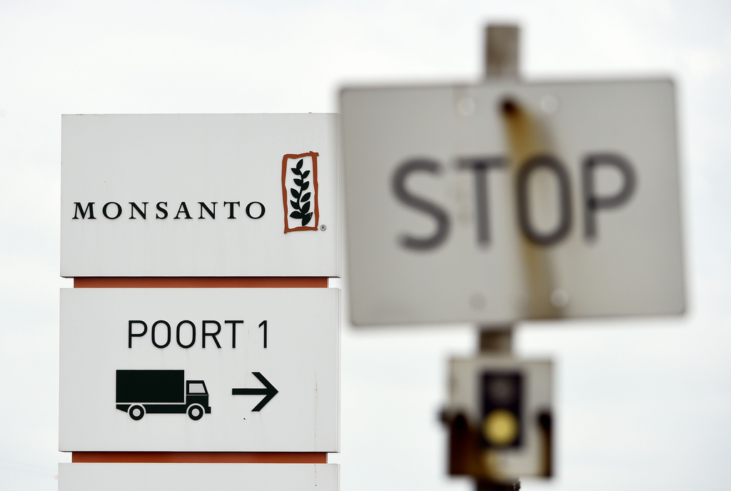 Monsanto houdt Bayer af - Foto: ANP