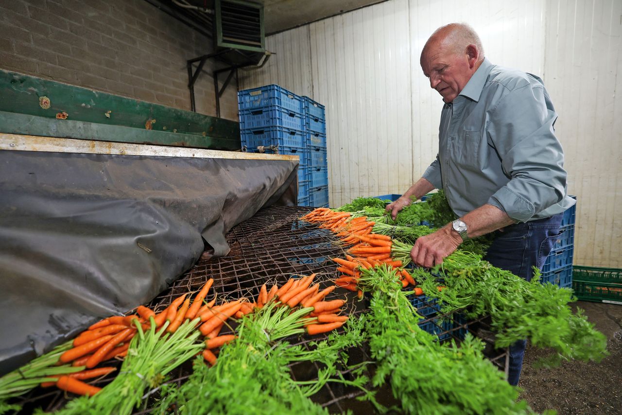 Adrie Oppers: "“Hoe ik alles gepland krijg, met die zeventig gewassen? Dat zit in m’n harde schijf, is in de loop der jaren een automatisme geworden." Foto’s: Bert Jansen