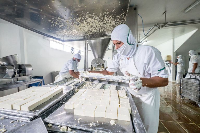 Er ontstaat een groot verschil in melkprijs tussen fors exporterende landen als Nederland en landen als Italië en Frankrijk. - Foto: Canva/Getty Images