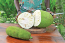 Fiber Foods heeft een gepatenteerd ingrediënt gemaakt van jackfruit, geproduceerd in Oeganda. Foto: Fiber Foods