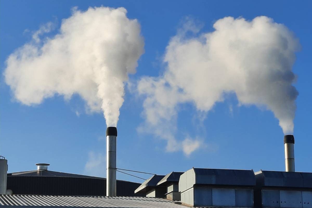 Wat de komst van het nieuwe kabinet precies betekent voor de CO2-reductiedoelen voor de glastuinbouw, is nog niet bekend. – Foto: Groenten & Fruit