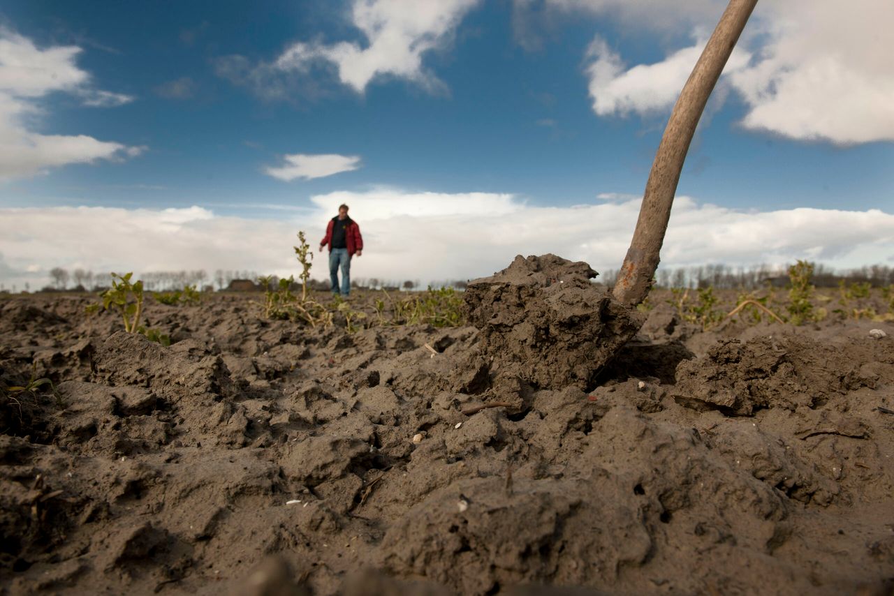 Behoud van bodemvruchtbaarheid moet een belangrijk doel van het zesde actieprogramma Nitraat worden. - Foto: Mark Pasveer