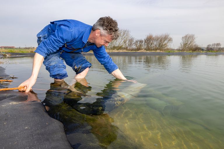 Bart Dekker heeft voor droge perioden een wateropvangbassin tot zijn beschikking. Foto: Peter Roek