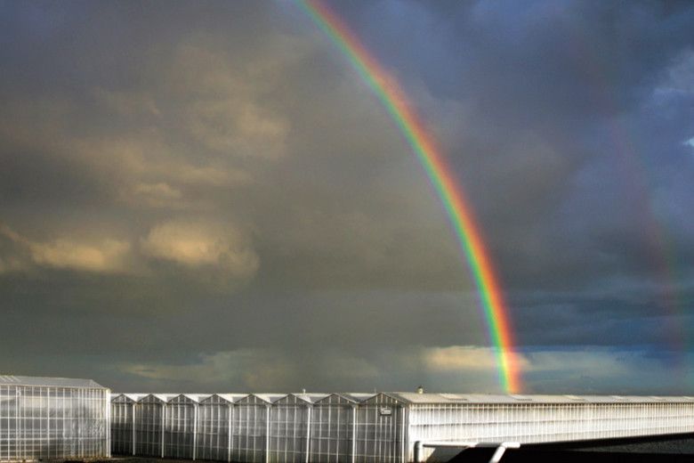 Foto: LTO Glaskracht Nederland