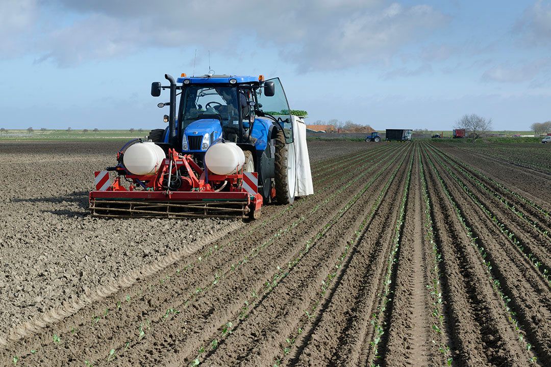 Kalendertuinbouw