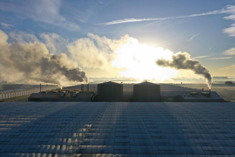 Hoe zit het met de geschetste CO2-besparingen voor de glastuinbouw in het rapport van CE Delft? – Foto: ANP/VIDIPHOITO