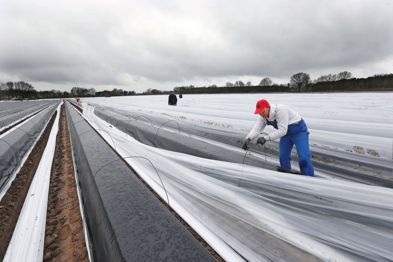 Aspergeteler voelt zich klemgezet door de Arbeidsinspectie. Foto: Bert Jansen.