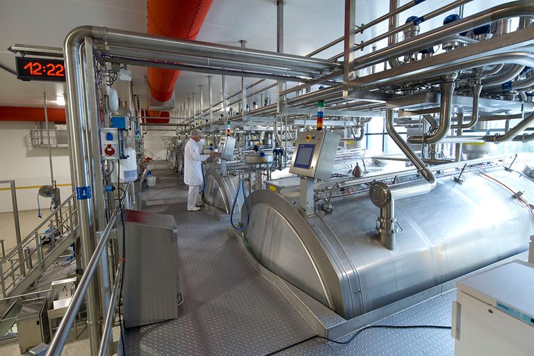 Kaasfabriek van FrieslandCampina in Workum. - Foto: Misset