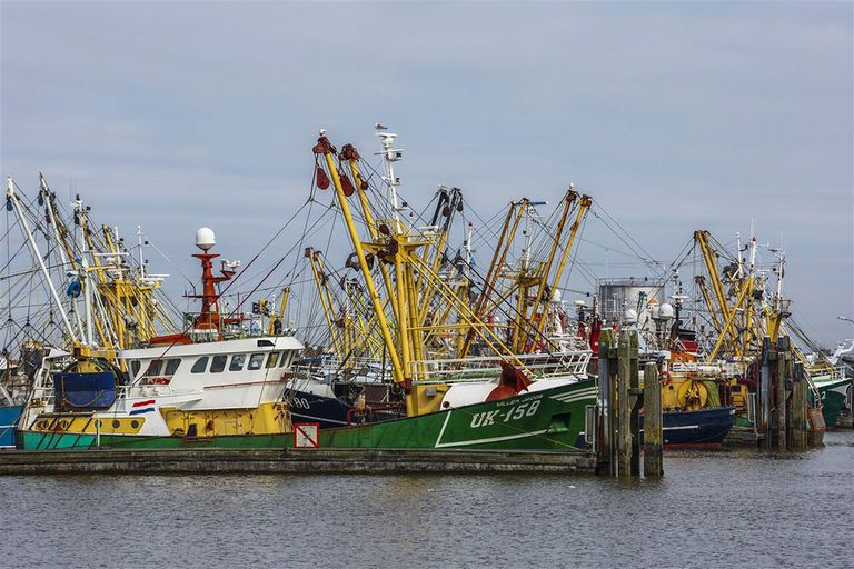 De kottervisserij in Nederland gaat door een diep dal, vooral door de hoge dieselprijs. - Foto: ANP