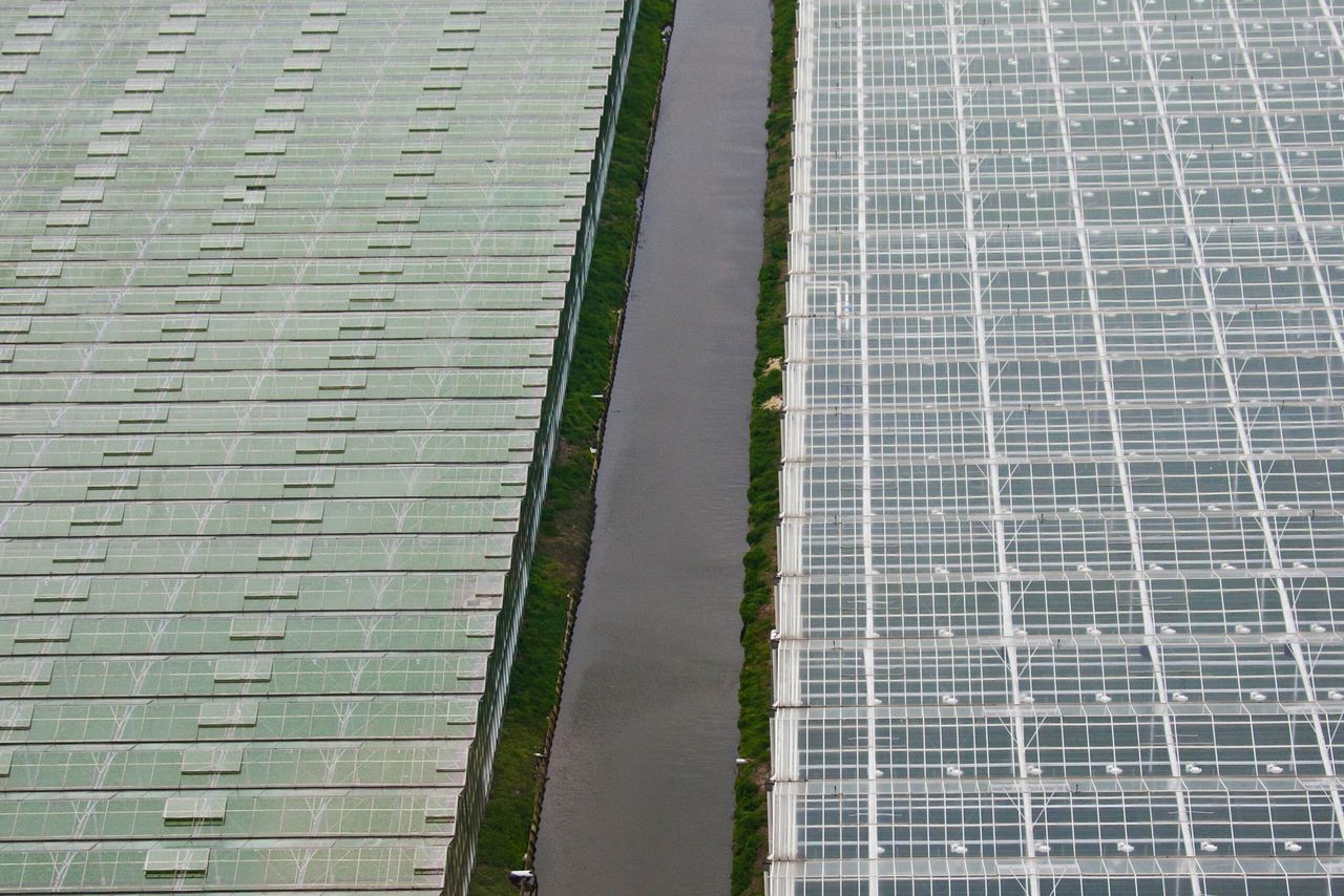 Zuid-Holland knoopt tuinbouwrelatie aan met Lombardije