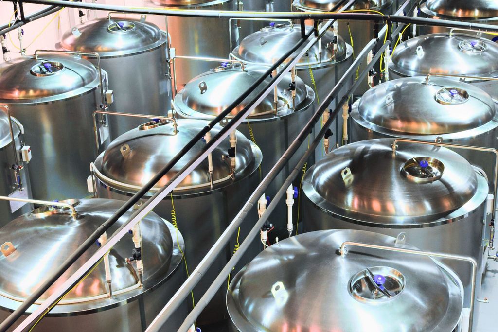 Vivici brengt melkeiwit begin 2024 op markt Food&Agribusiness