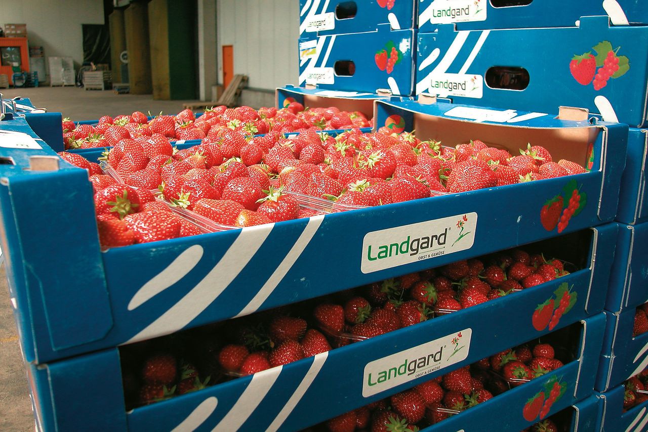 Foto: Groenten & Fruit