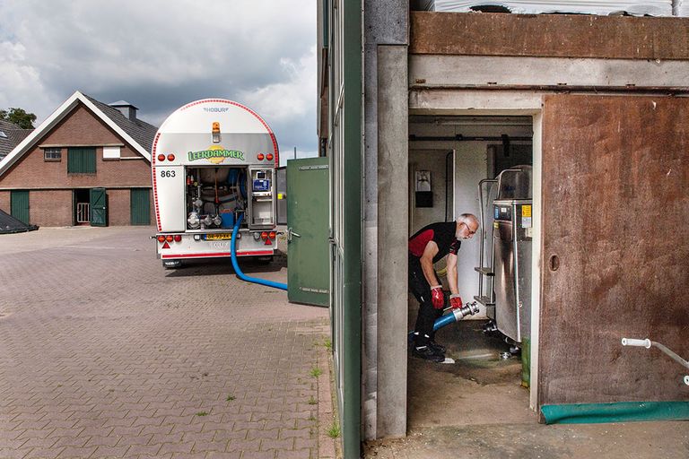 Arnold den Besten van Den Besten Transport haalt voor Leerdammer melk op bij verschillende melkveebedrijven. - Foto: Herbert Wiggerman