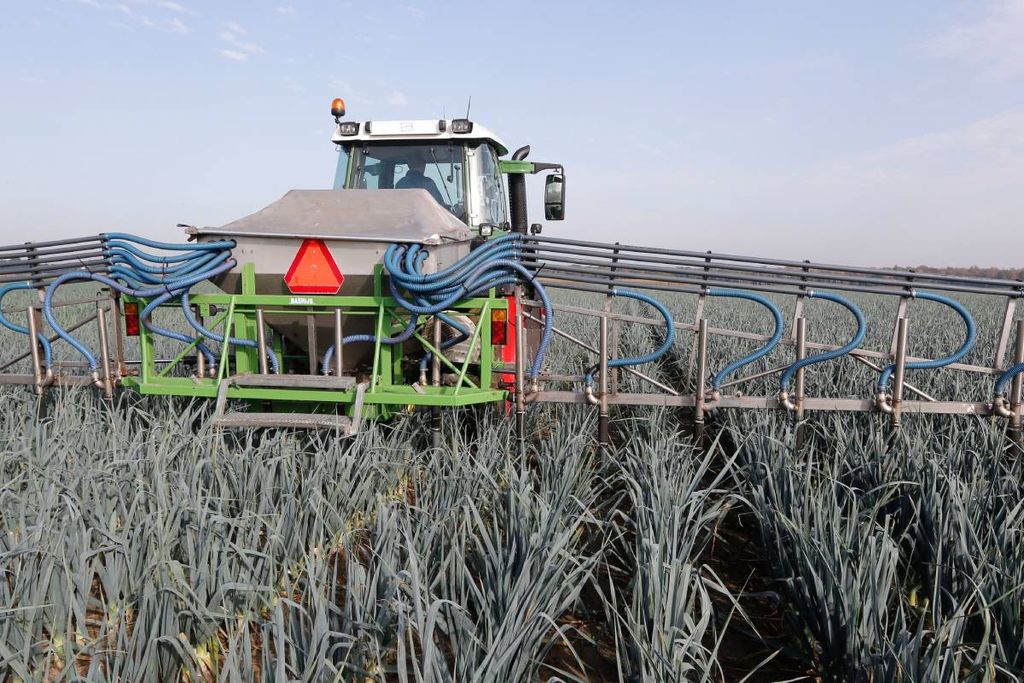 Prei bemesten. Groente- en fruittelers moeten vanaf 2025 bij de gecombineerde opgave mestgegevens indienen. – Foto: Bert Jansen