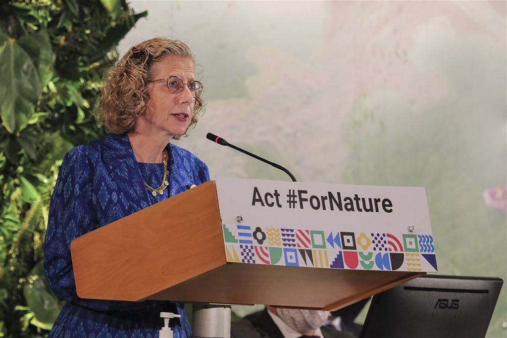 “Klimaatverandering loert niet om de hoek. Het ís er al”, aldus Inger Andersen, chef van het milieubureau van de VN. Foto: ANP