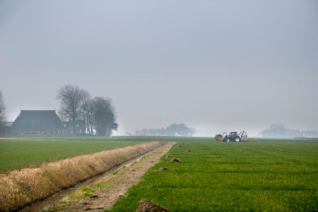Foto: Mark Pasveer