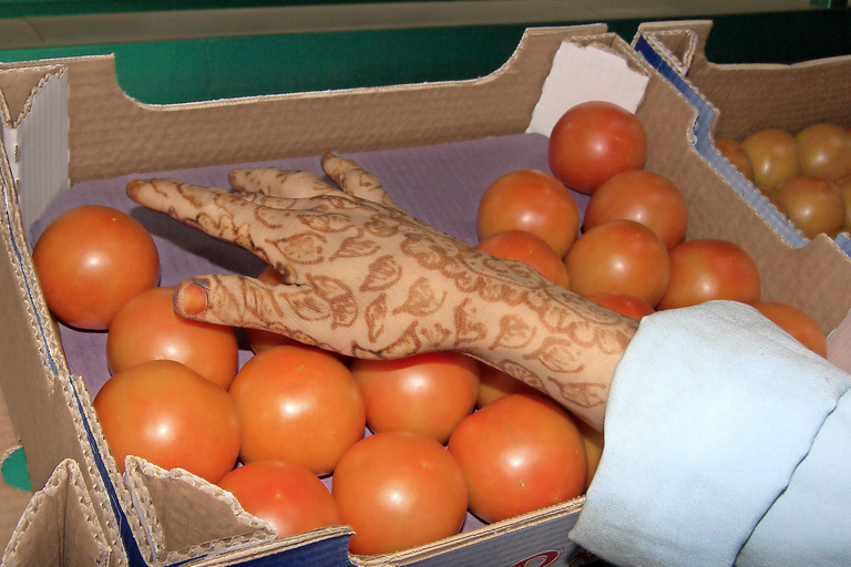 Marokkaanse tomatenexport verdubbeld in 10 jaar