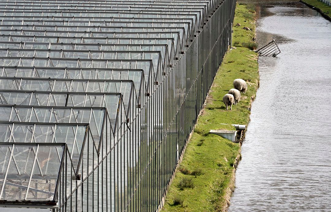 Archiefbeeld glastuinbouw. Foto;ANP/Flip Franssen