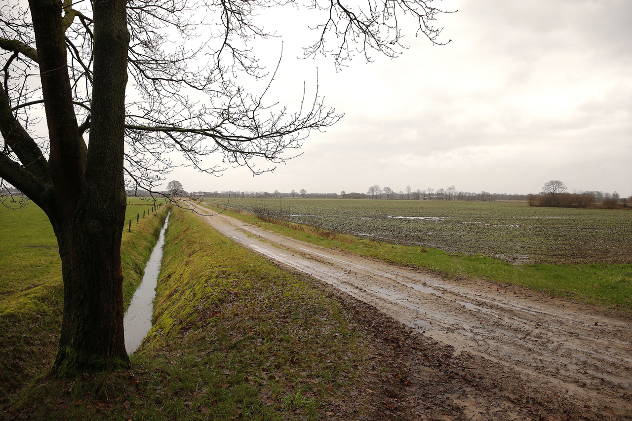 Politieke steun voor kwetsbare telers
