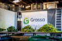 grassa