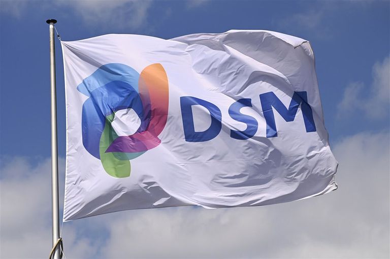 De omzet van de voedingstak van DSM zag de grootste groei (23%) van alle takken. Foto: ANP