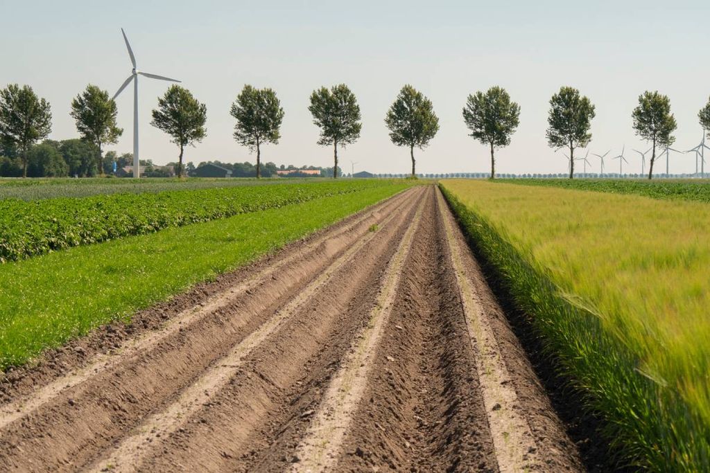 Onderzoek naar strokenteelt op een fieldab. Een belangrijke vraag in het onderzoekstraject naar weerbaar telen is hoe fieldlabs een rol kunnen spelen in deze transitie. Foto: Galama Media