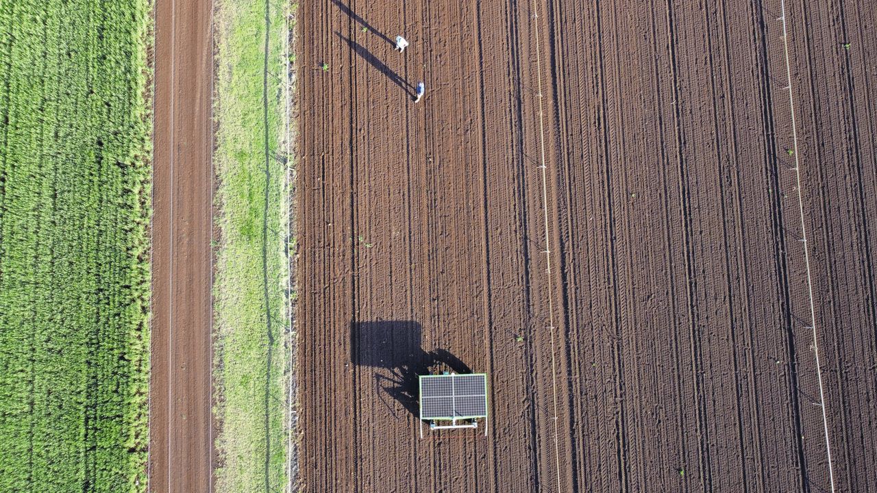 Qualipac kocht wiedrobots om de stijgende kosten van handmatig wieden te bestrijden. Het bedrijf kan zo ook het gebruik van herbiciden verminderen. De FarmDroid levert bovendien een gelijkmatige oogst op. Foto: Qualipac