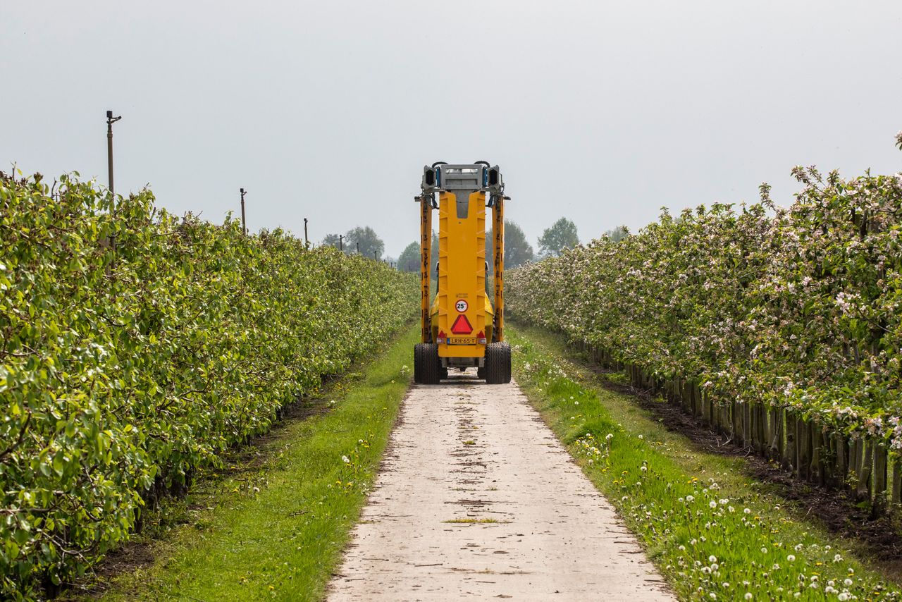 Foto: Anne van der Woude