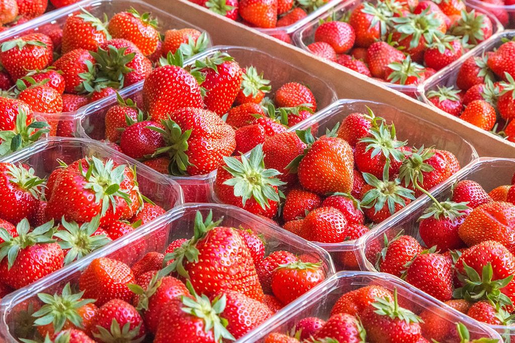 Ondanks een matige zomer met onder andere een lagere aardbeienconsumptie, was de omzet van BelOrta hoger dan in 2020. - Foto: Canva