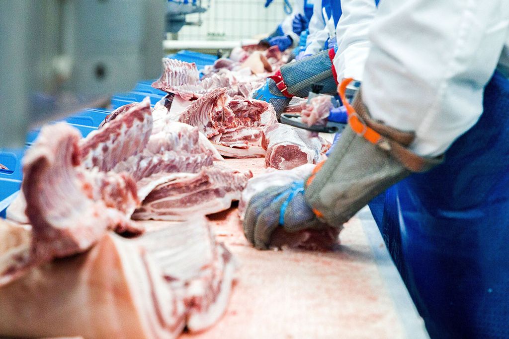 Er is er geen plaats meer in de vleesketen voor personen en bedrijven die het dierenwelzijn niet serieus nemen. Foto: Canva