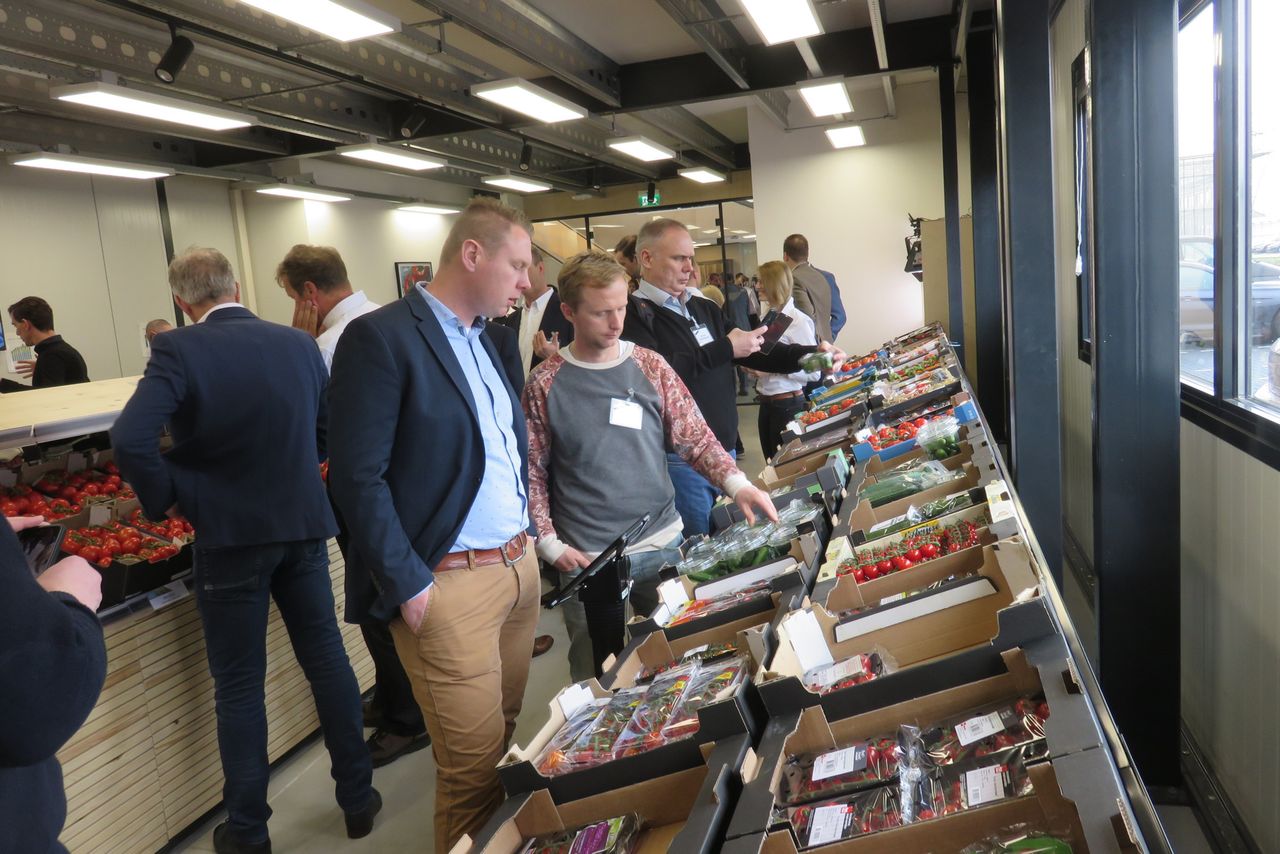 Nieuwe groenterassen te kijk bij het De Ruiter Experience Center. Voor elk tomaten- of paprikasegment met nieuwe rassen blijven komen wordt duurder als de EU-wetgeving doorgaat. – Foto: Ton van der Scheer