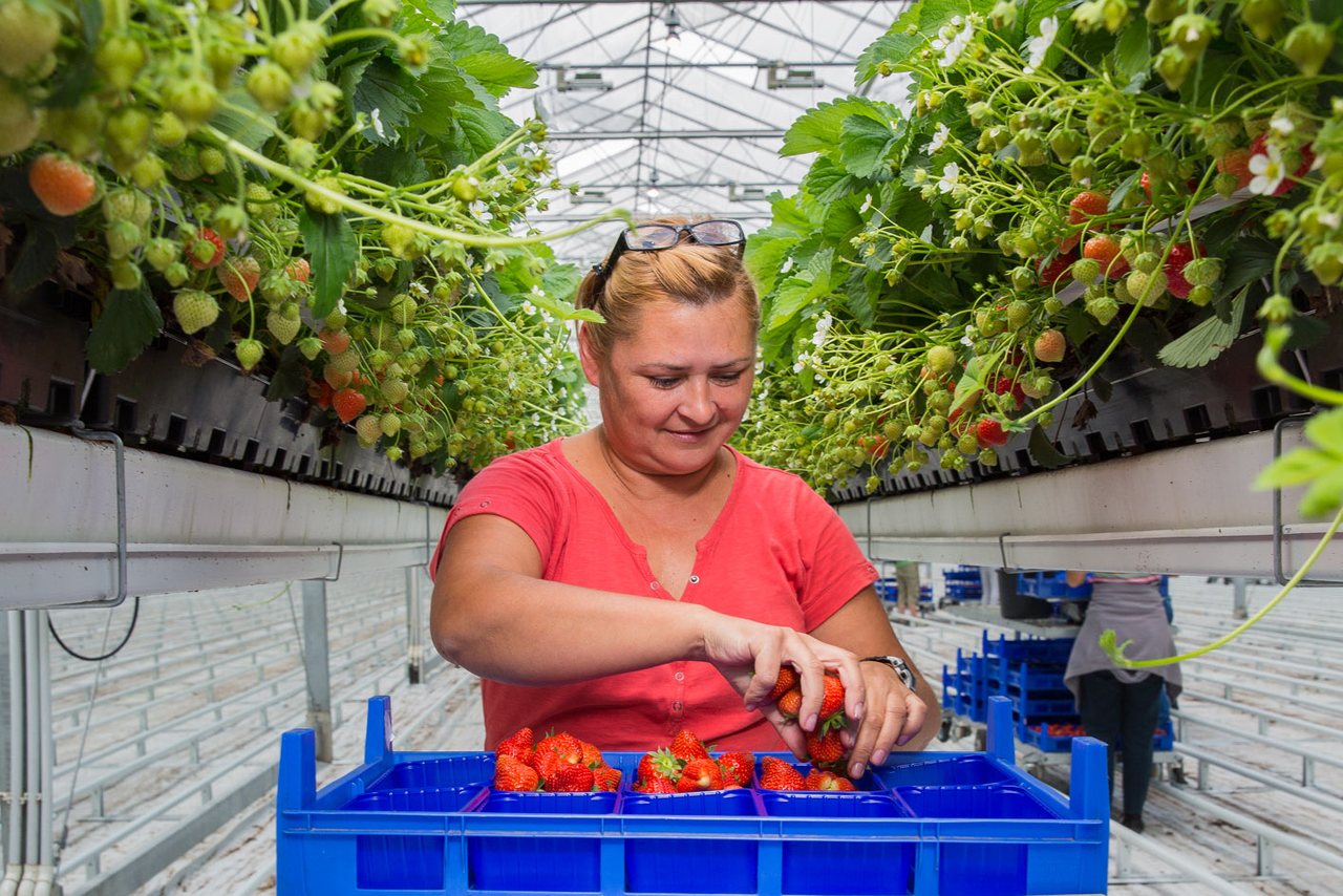 Nieuwe energiezuinige nachtcyclus onderbrekende lamp