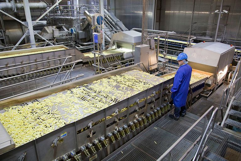 Een medewerker in de aardappelverwerkende industrie controleert het productieproces. - Foto: Jan Willem Schouten