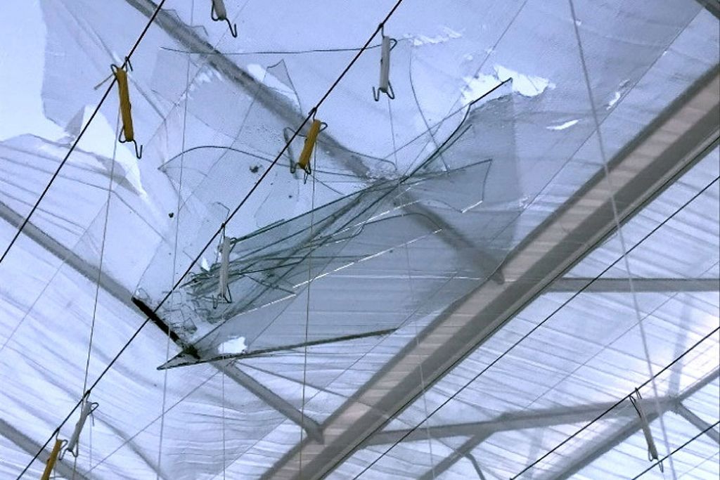 Glasschade aan kassen in het weekend van 19-20 februari 2022. - Foto: Interpolis