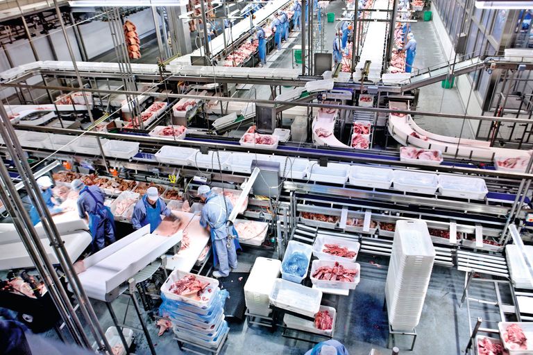 Werkzaamheden in een slachterij. Wereldwijd gaan mensen meer dierlijke producten eten, die toename is naar verwachting 6% per wereldbewoner. Foto: Danish Crown