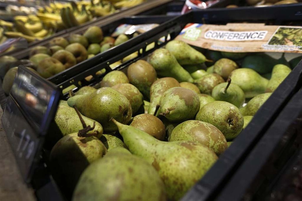 In Nederland merken leveranciers van Conference-peren dat supermarkten dit seizoen meer volume vastleggen in contracten. - Foto: ANP