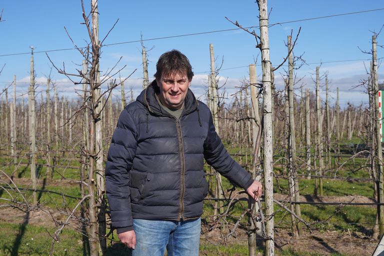 Bert den Haan heeft een fruitteeltbedrijf in Kerk-Avezaath (Gld.). Op een areaal van 40 hectare teelt hij 20 hectare appels (Elstar, Red Prince, Kanzi en Wurtwinning - Bloss) en 20 hectare peer (Conference, Doyenné du Comice, Xenia en Migo). – Foto’s: Bayer Cropscience