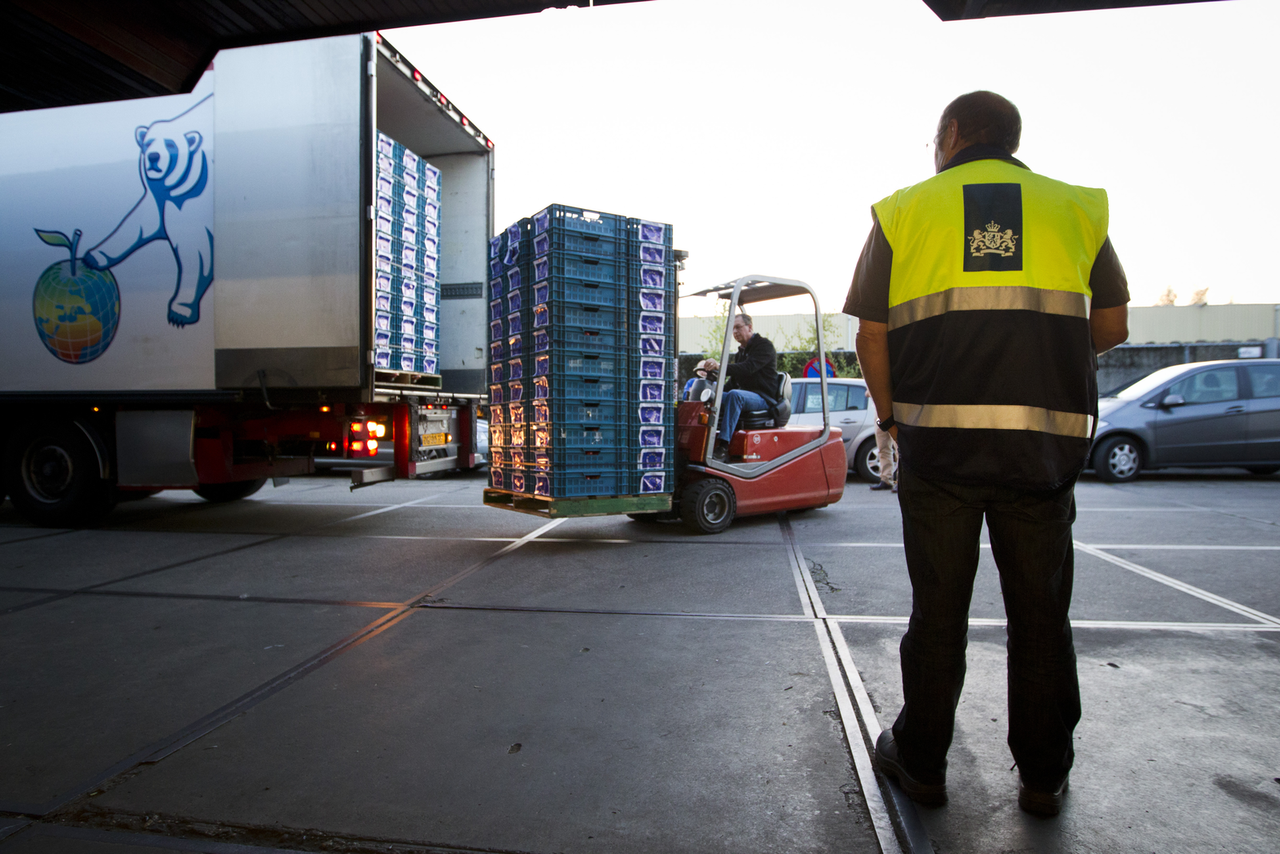 NVWA: minder afkeuring in export groente, iets meer vondsten in teelt