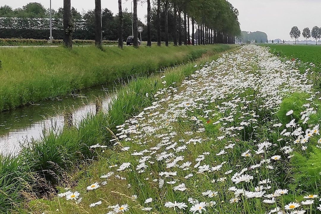 Milieuprestaties van telers worden meetbaar. - Foto: SMK