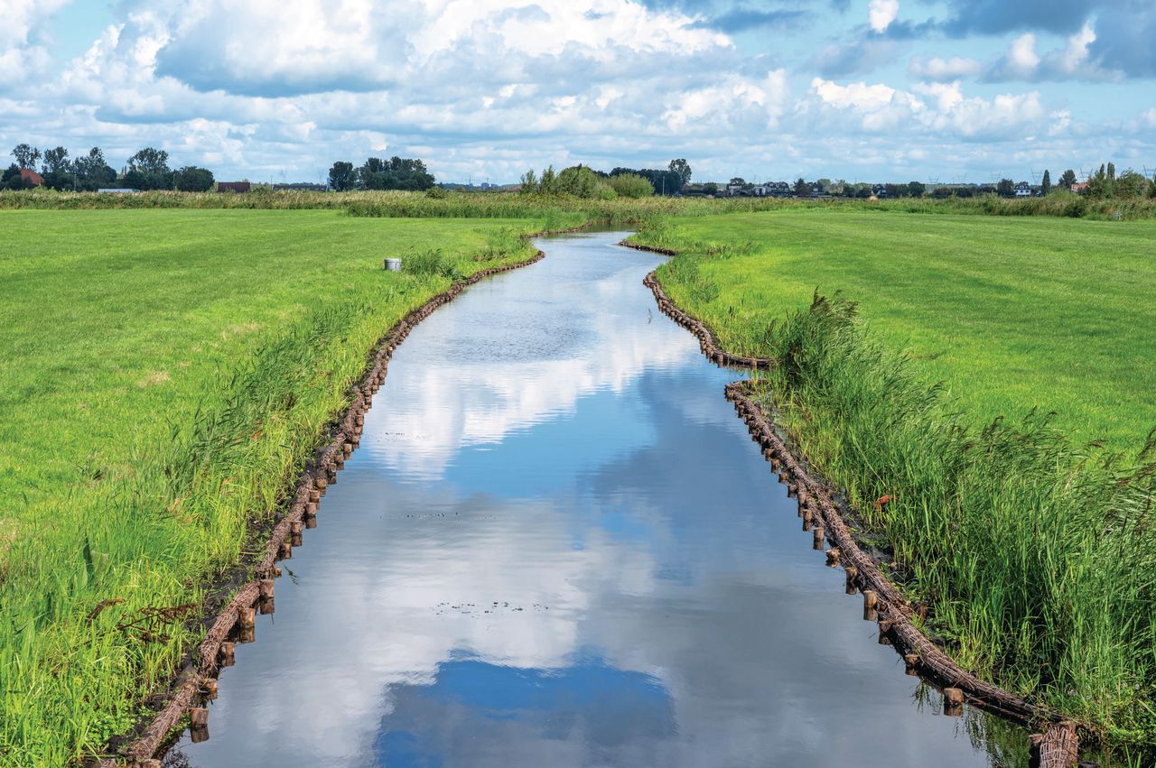 Waterschap Hollands Noorderkwartier beheert 20.000 kilometer aan sloten. Foto: Cor Salverius