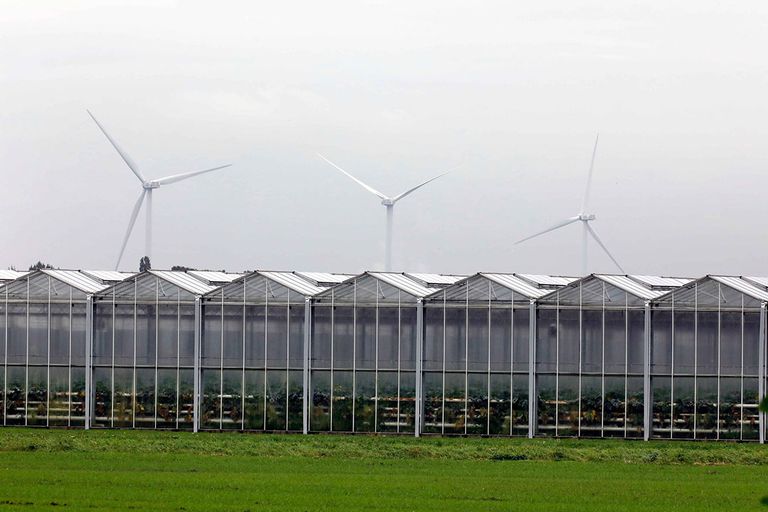 Het is belangrijk dat waterstof van hernieuwbare energie gemaakt wordt, zoals windenergie. - Foto: Roel Dijkstra