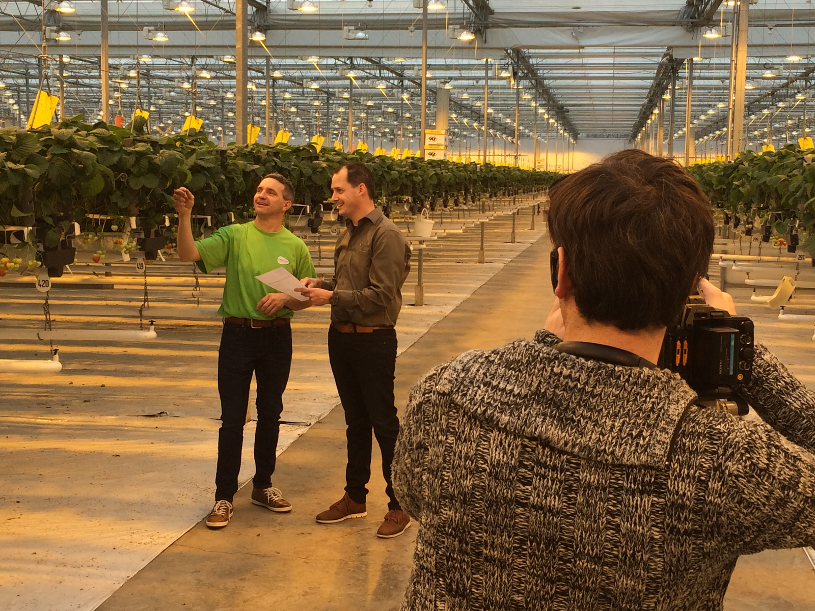 Duurzame aardbeiteelt op tv