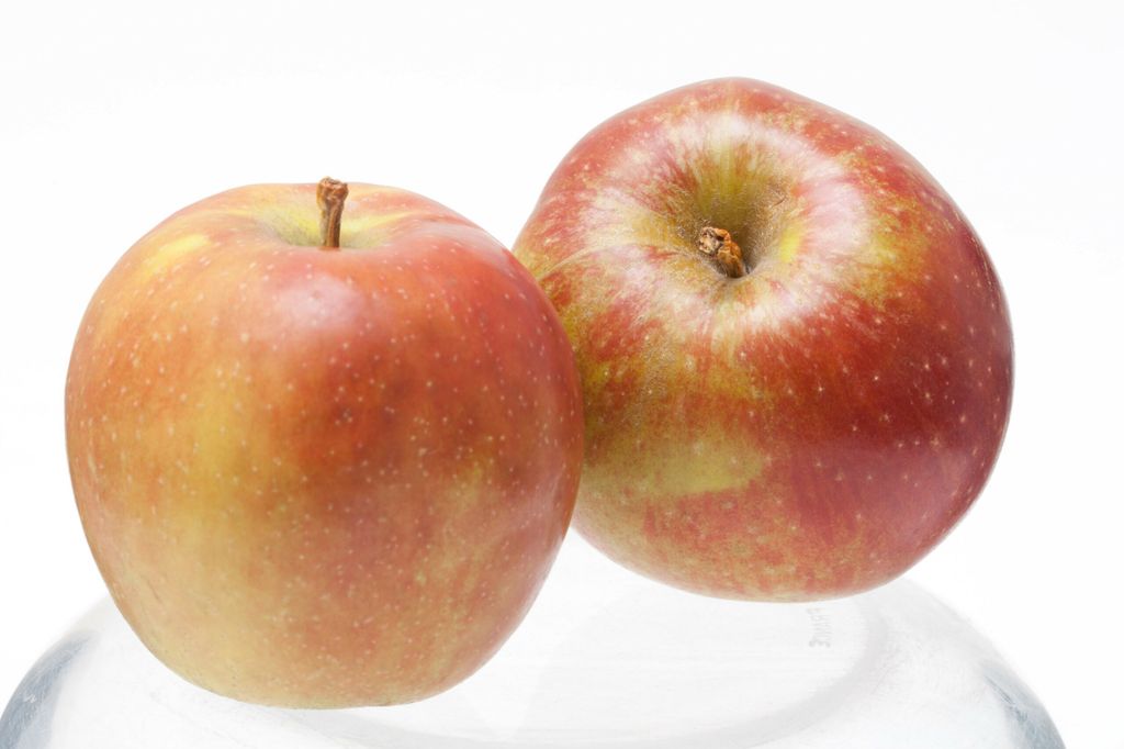 Boskoop-appels - Foto: Joris Telders