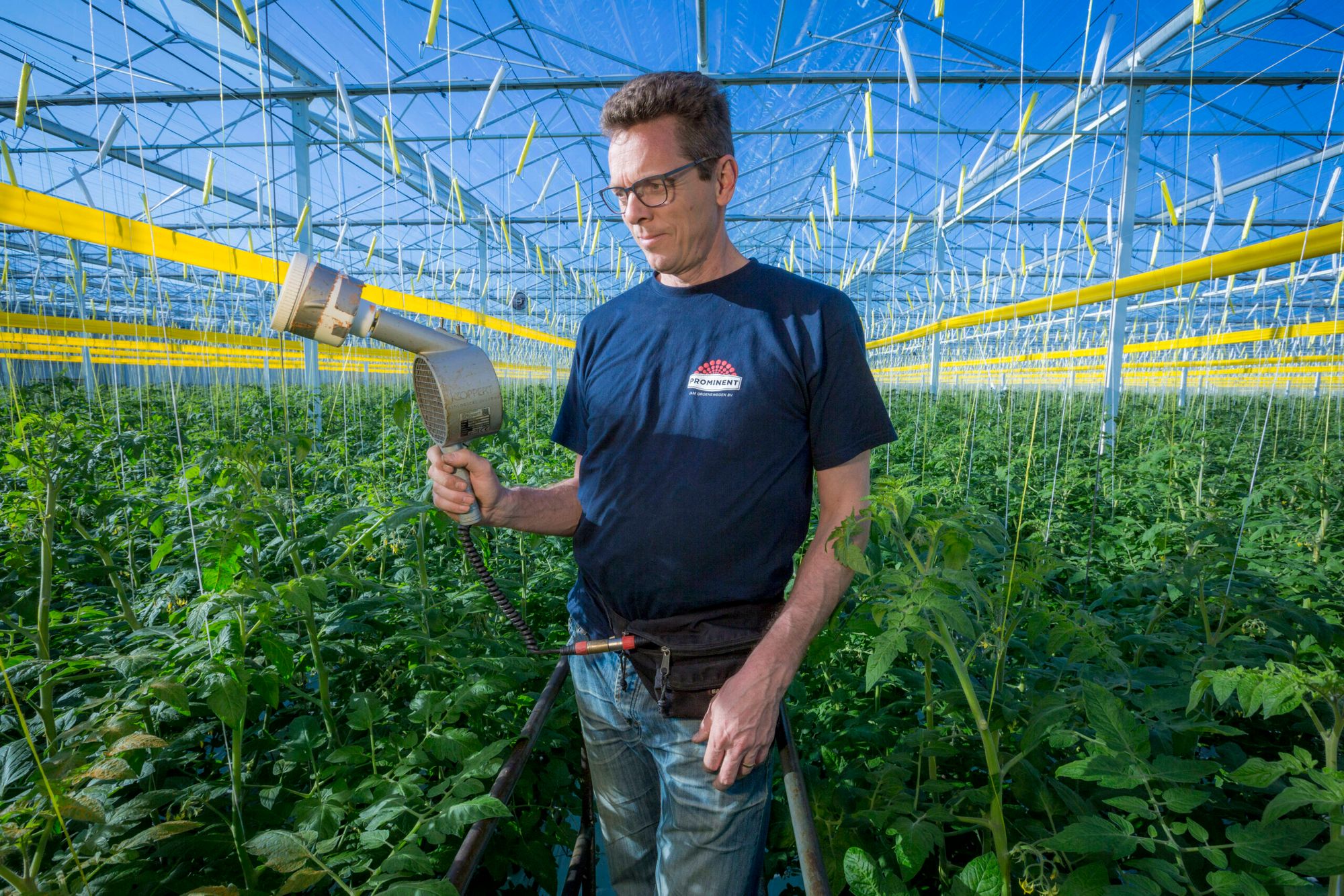 Foto: Dennis Wisse/ Roel Dijkstra