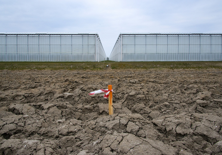 Een kleine daling van het aanbod glasgroente leidde tot grote schommelingen, aldus het GroentenFruit Huis